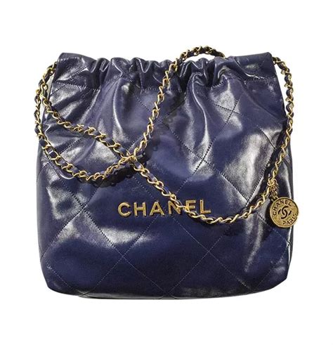 chanel van bag|Chanel new bag 2022.